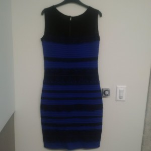 11391685_462413080600758_1390927440858657296_n